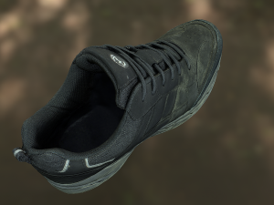 worn sneaker shoe low poly model 3D Model