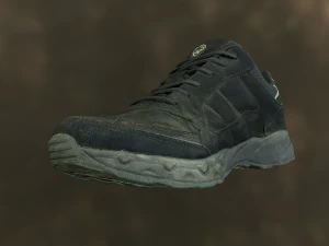 worn sneaker shoe low poly model 3D Model