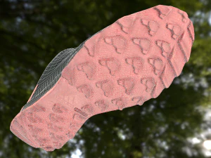 adidas sneaker shoe low-poly 3D Model