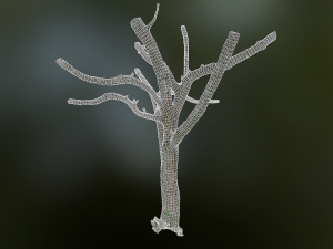 tree low poly model Modelo 3D