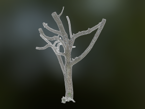 tree low poly model Modelo 3D