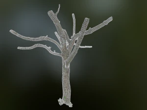 tree low poly model 3D Model