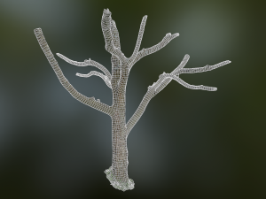 tree low poly model Modelo 3D