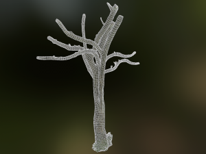 tree low poly model Modelo 3D