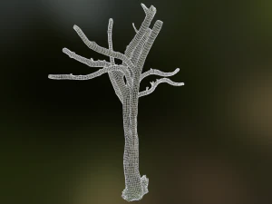 tree low poly model 3D Model