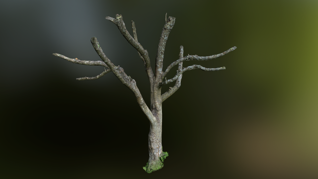 tree low poly model Modelo 3D .c4d .max .obj .3ds .fbx .stl .blend