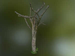 tree low poly model Modelo 3D