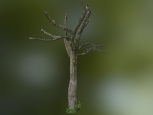 tree low poly model Modelo 3D