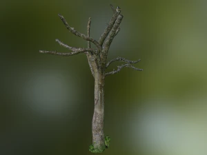 tree low poly model 3D Model