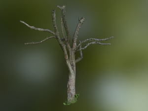 tree low poly model Modelo 3D