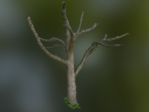 tree low poly model Modelo 3D