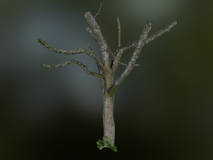 tree low poly model Modelo 3D