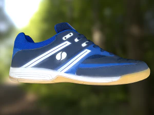shoe low poly 3D Model