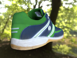shoe low poly Modello 3D