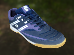 shoe low poly 3D Model