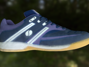 shoe low poly 3D Model