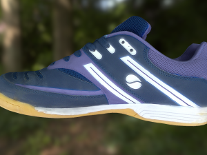 shoe low poly 3D Model