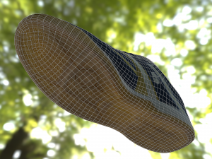 sport shoe low poly 3D Model