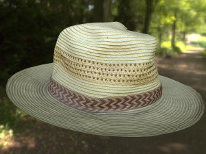 hat low poly 3D Model