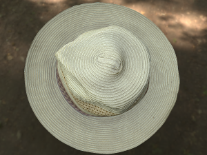 hat low poly 3D Model