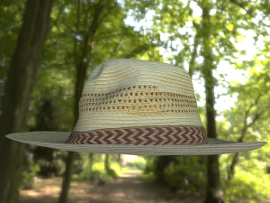 hat low poly 3D Model