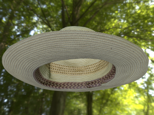 hat low poly 3D Model