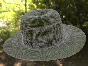 hat low poly 3D Model