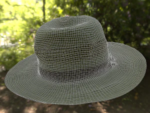 hat low poly 3D Model