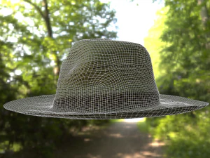 hat low poly 3D Model