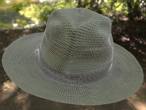 hat low poly 3D Model