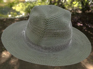 hat low poly 3D Model
