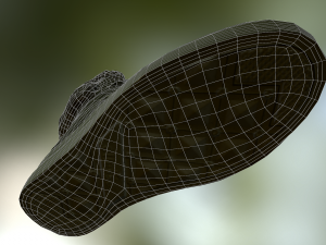 shoe low poly Model 3D