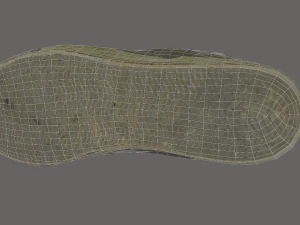 worn skater shoe low poly 3D Model