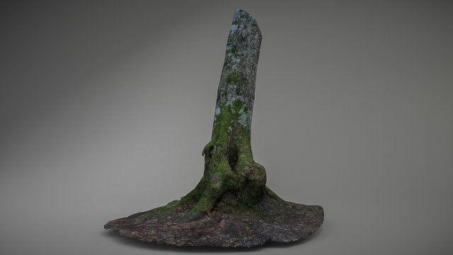 mossy tree low poly 3D 模型 .c4d .max .obj .3ds .fbx .stl .blend