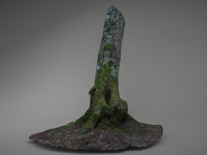 mossy tree low poly 3D 모델