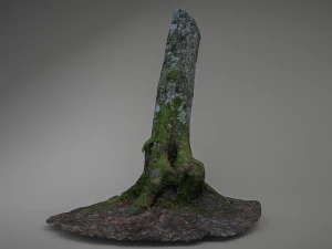 мшистое дерево низкополигональная 3D Модель