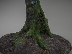 mossy tree low poly 3D 模型