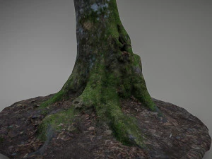 mossy tree low poly 3D Model