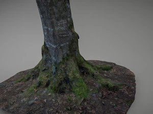 mossy tree low poly 3D Model