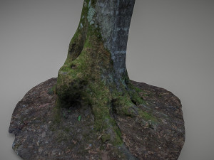 mossy tree low poly 3D 模型