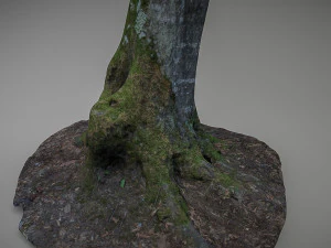 mossy tree low poly 3D Model