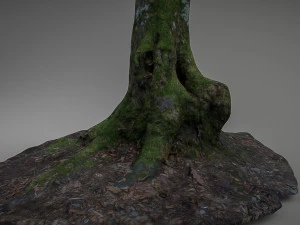 mossy tree low poly 3D Model