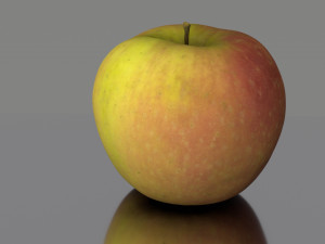 apple low poly 3D Model