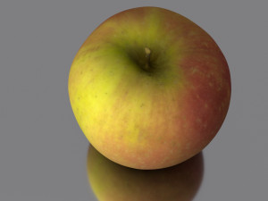 apple low poly 3D Model