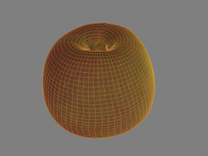 apple low poly 3D Model
