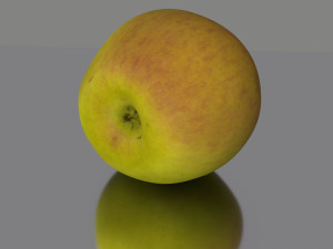 apple low poly 3D Model