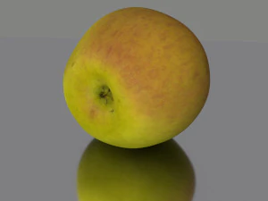 apple low poly 3D Model