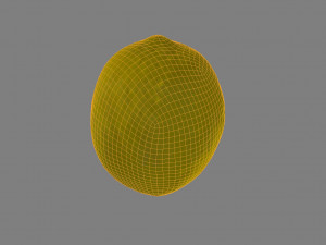 lemon low poly Modelo 3D