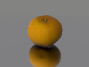 lemon low poly 3D Model