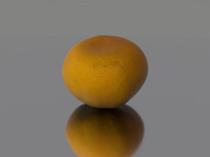 lemon low poly 3D Model